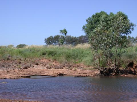200203261527609.JPG