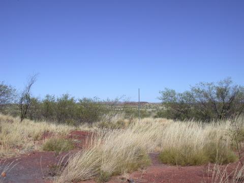 200205090805123.JPG