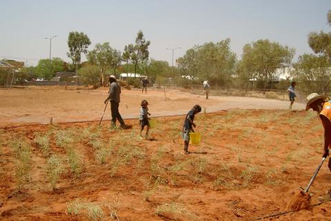Community tree planting.jpg