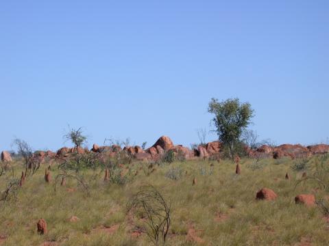 DSCN2771.JPG