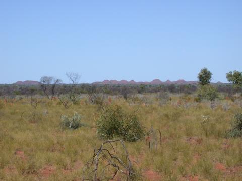 DSCN2774.JPG