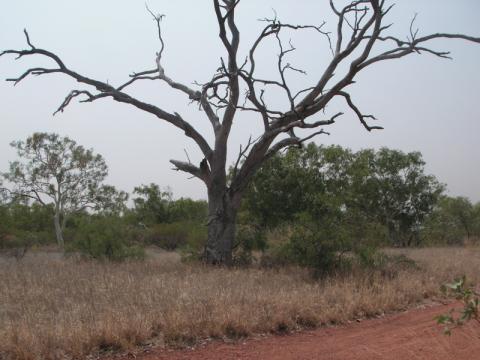 PICT0023.jpg