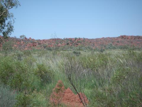 PICT0080.JPG