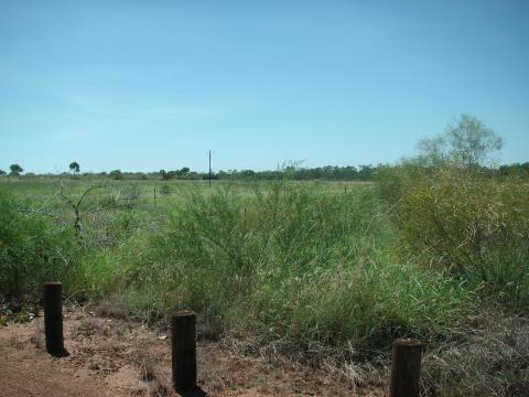 PICT0083.JPG